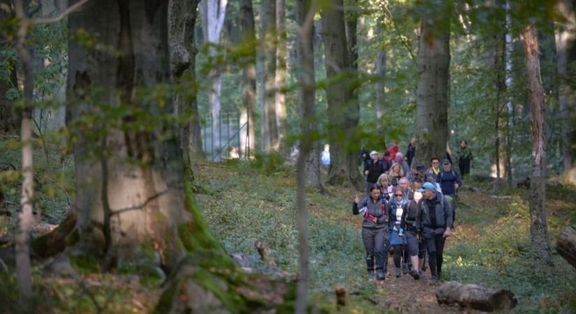 Ezekre a szabályokra figyeljetek, ha túráztok