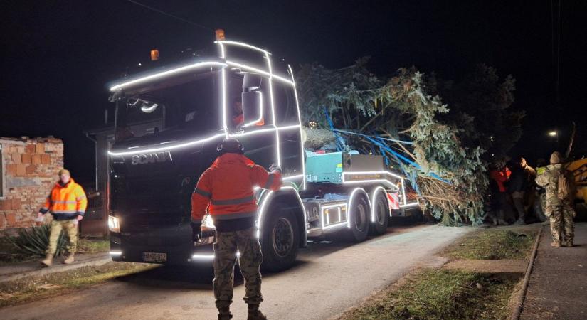 A katonaság hozzá Budapestre a hatalmas karácsonyfát - figyelmeztetést adtak ki az autósoknak