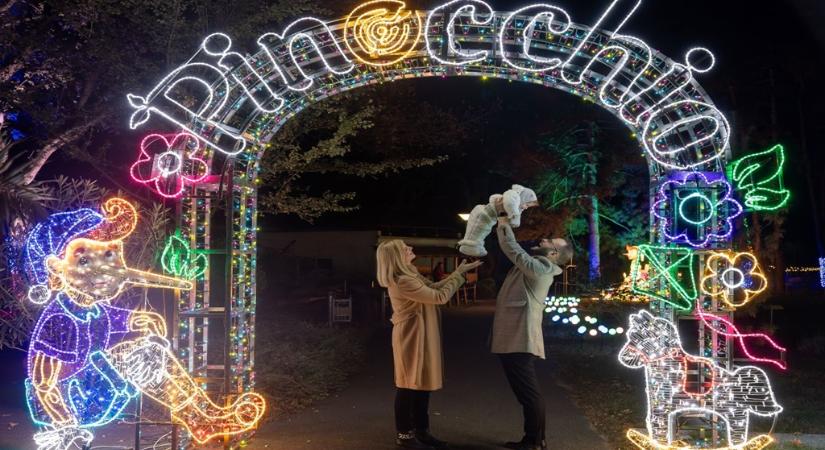 Garden of Lights – óriási kedvezmény a fénykiállításokra a BLACK WEEK alkalmából!