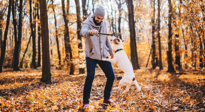 Orvosmeteo: november végén egy kicsit még kitavaszodik