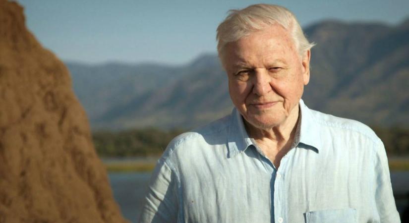 David Attenborough a nagy siker után újabb dokumentumfilm-sorozattal érkezik