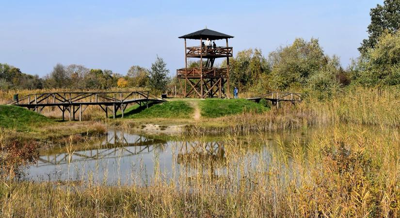 Zarándoklat a természetben: ősz a dabasi Szent Jakab tanösvényen