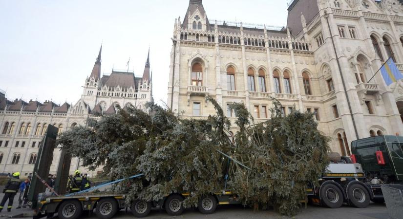 Csodás videó: így érkezett meg a Kossuth térre az ország karácsonyfája