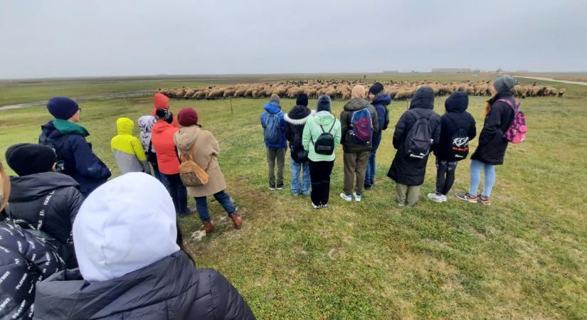 Dévai diákok látogattak a vásárhelyi pusztába