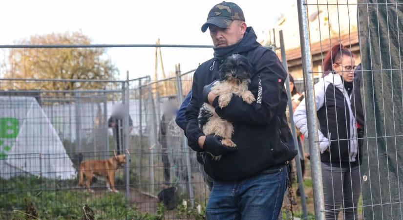 Ezúttal egy Karakó közelében lévő tanyán csaptak le az állatvédők - videó, sok fotó