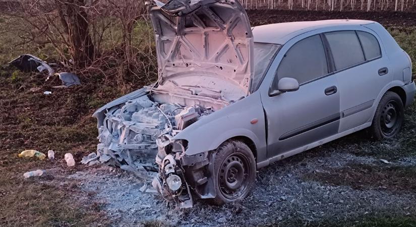 Fának hajtott egy autó Borota közelében