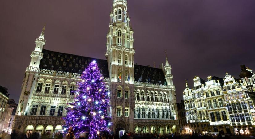 35 éven át gondozta a fenyőfát egy nyugdíjas házaspár, most Brüsszel főterét díszíti