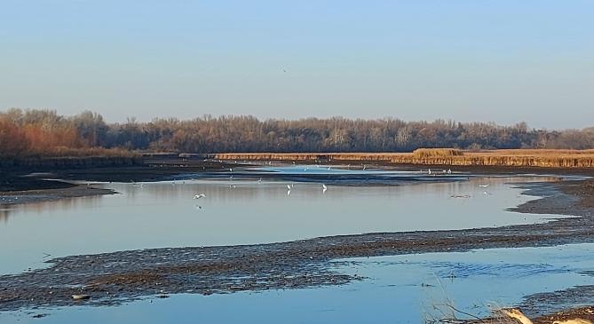 Több, mint másfél méterrel csökkentették a Tisza-tó vízszintjét