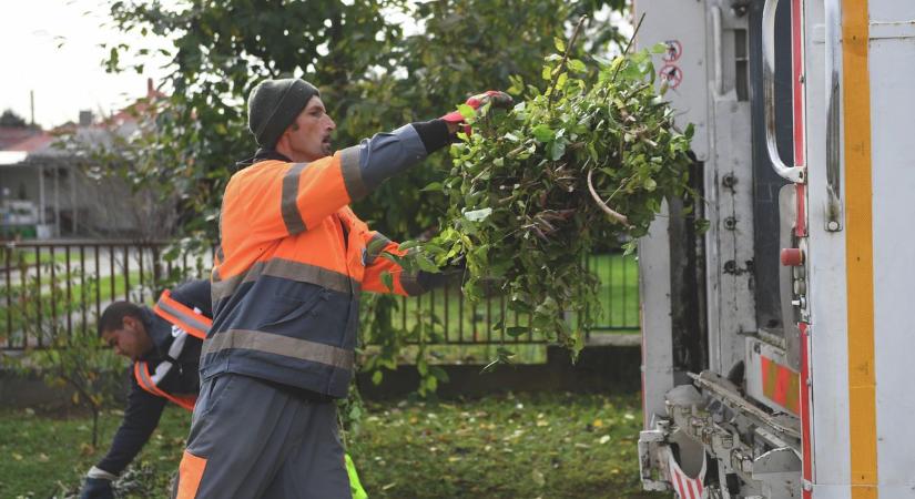 Annyi a zöldhulladék Kaposváron, hogy eladják komposztnak