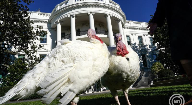 Joe Biden "kegyelmet adott" a Fehér Ház hálaadás napi pulykapárjának