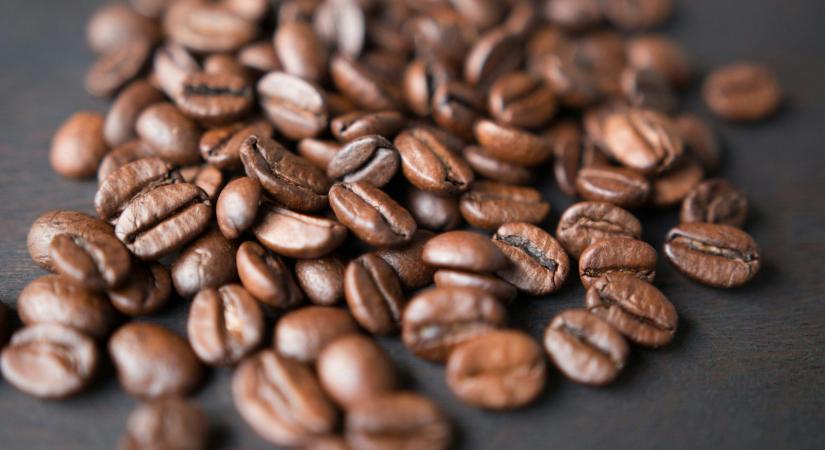 Negyvenhét éves csúcsot döntött az arabica kávé ára