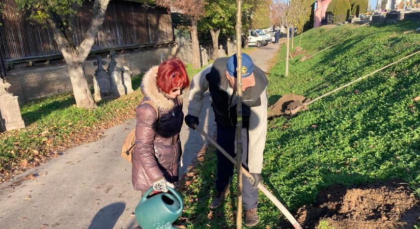 Ötven facsemetét ültettek el a tolnai és a mözsi temetőben