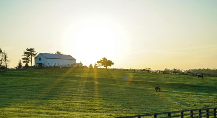 Hogyan alakítja át a digitális tervezés az agrárépítészeti megoldásokat?