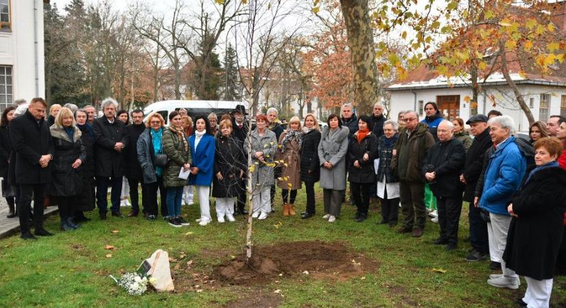 Akinek sokat köszönhet Debrecen: Jókayné Bégány Ágnes