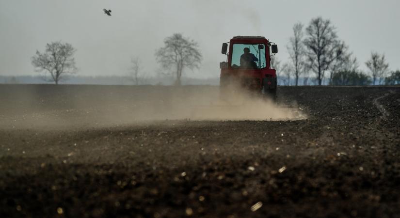 Drága mulatság lett az ilyen jogsi: mégis, kinek van erre pénze?