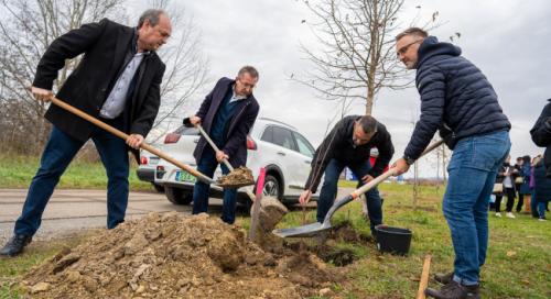 Közel 400 facsemetével gazdagodik Szekszárd