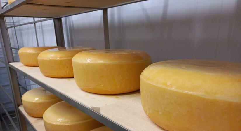 Magyar éremesővel zárult az idei World Cheese Awards