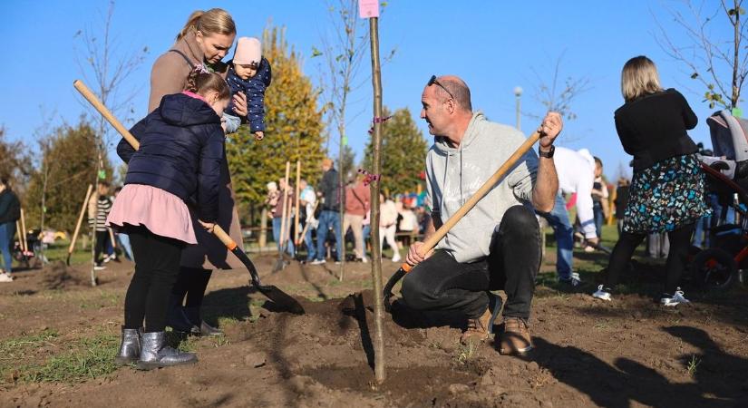 Nagyszabású faültetési akciót indított az önkormányzat