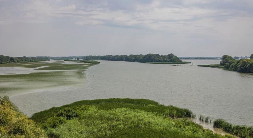 Sorsfordító döntés született a Tisza-tóról