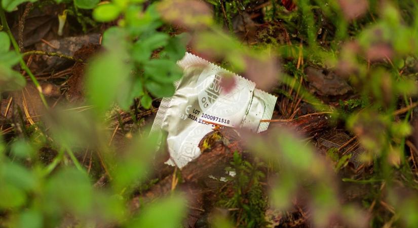 Nemi erőszak Tatabányán: bokorba rángatta áldozatát a felajzott szörnyeteg