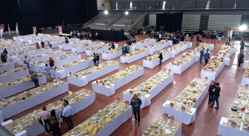 World Cheese Awards: 2 arany, 9 ezüst és 8 bronz minősítést szereztek a magyar sajtok