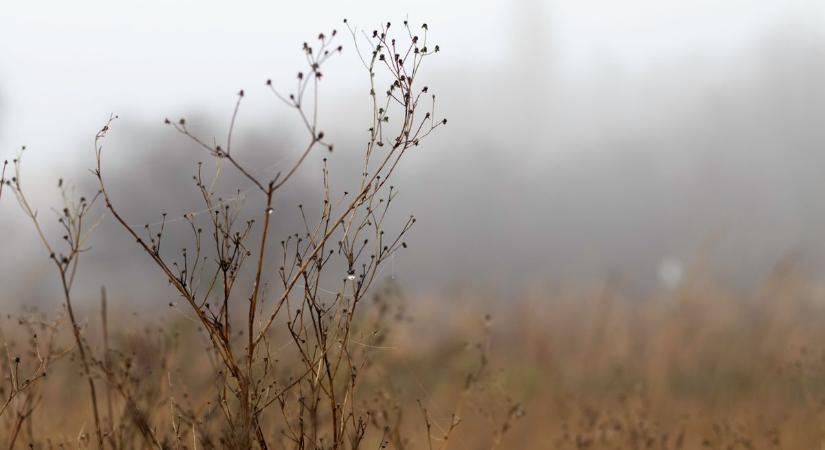 Szomorkás lesz az időjárás csütörtökön Fejérben