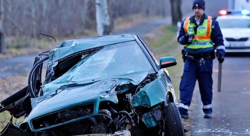 "Elfáradt az őrangyala" - elgázolt társát őrizte az őz, ez majdnem a sofőr életébe került