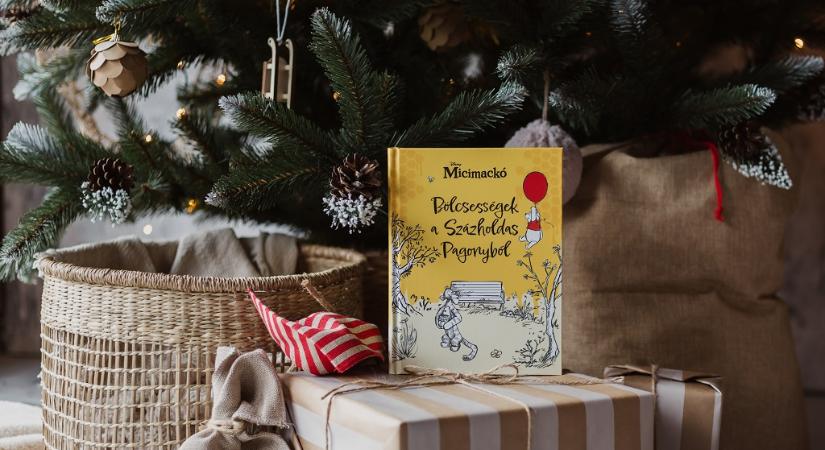 Öt magyar nagyváros közterein rejti el karácsonyi díszköteteit a Libri