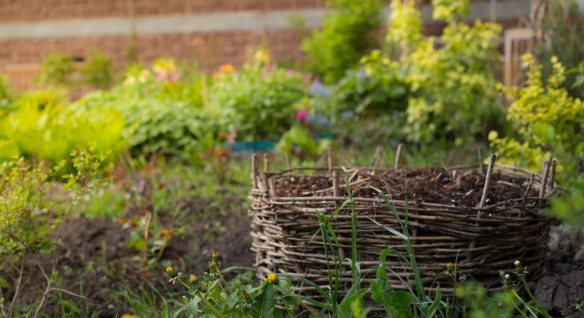 Zero waste a kertben: apró lépések, amiket megtehetsz a környezettudatos otthonért