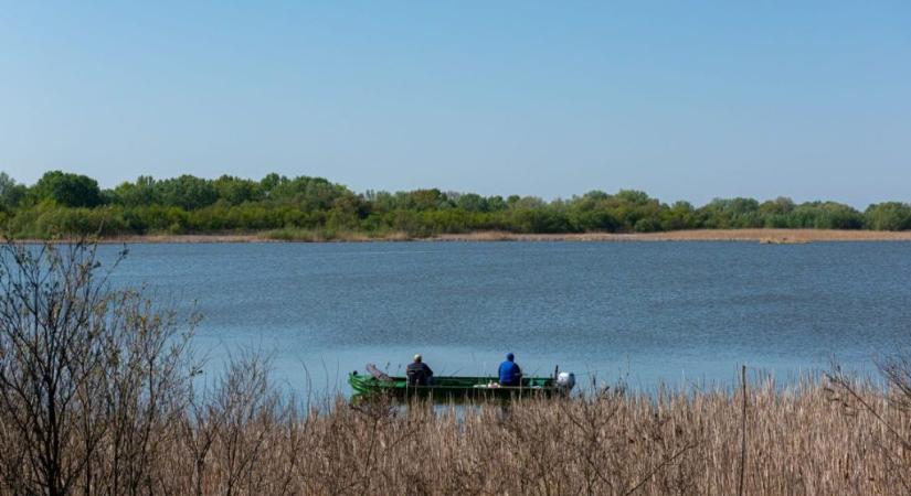 Döntött a kormány a kiemelt Tisza-tó térségéről