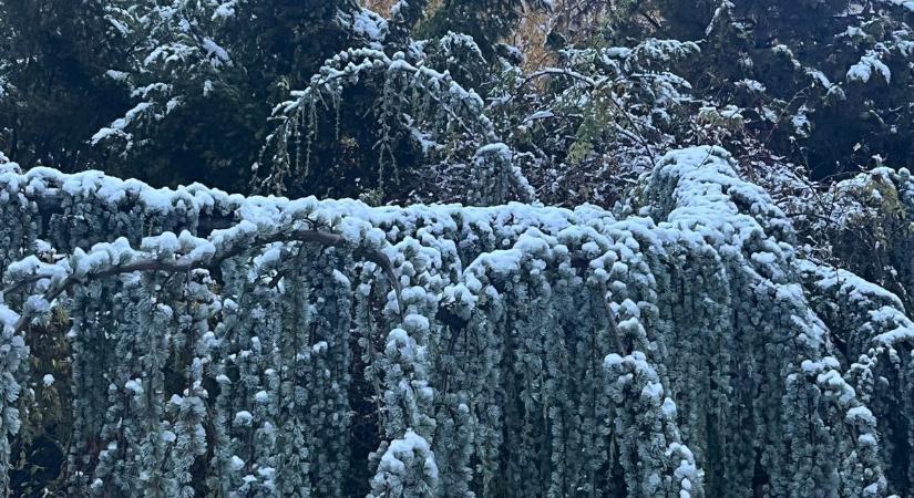 Mit jelent a jet stream, és hogy mutatja meg, hogy fehér karácsonyunk lesz-e?