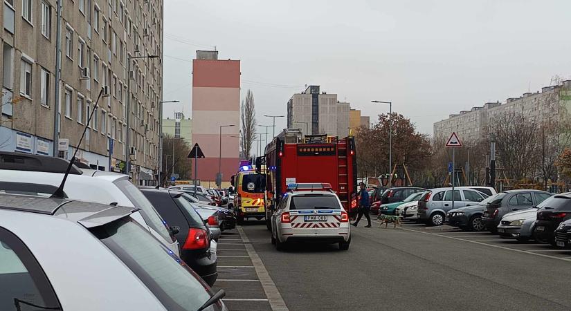 Idős hölgyön segítettek a Kodály Zoltán utcában