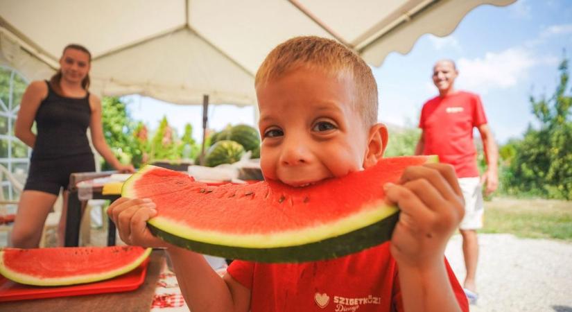 Közepes évet zártak a dinnyetermelők, a hazai fogyasztással van gond