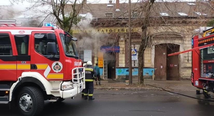 Sok kisállat életét vesztette, tombolt a tűz az állatkereskedésben