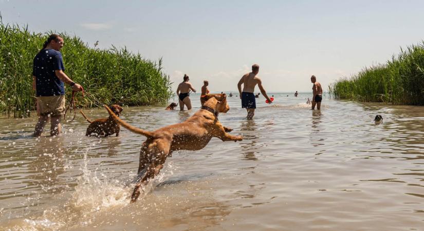 Beújít a Balaton „fővárosa”: új egyetemi képzéssel turbóznák fel a turizmust és vendéglátást