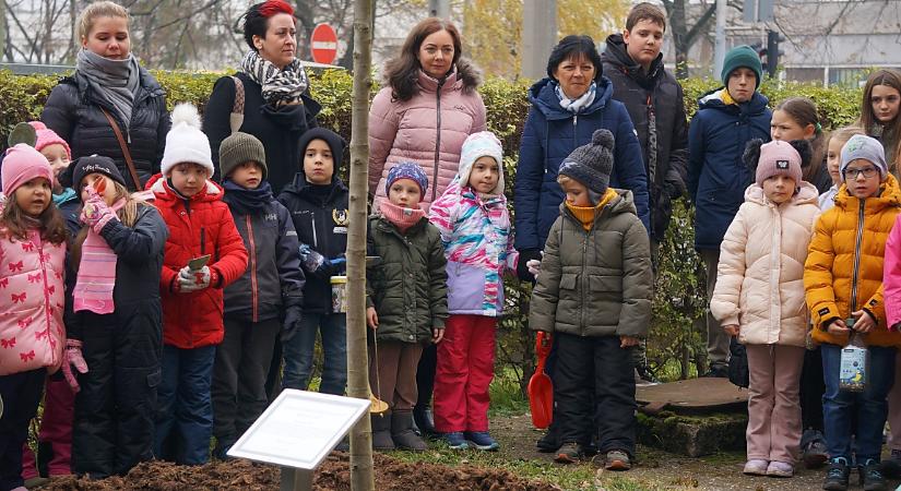 Fát ültettek ebben a debreceni iskolában – fotókkal