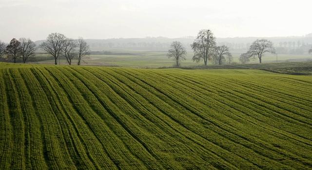 Agrometeorológia: csaknem országszerte kellően átnedvesedett a talaj