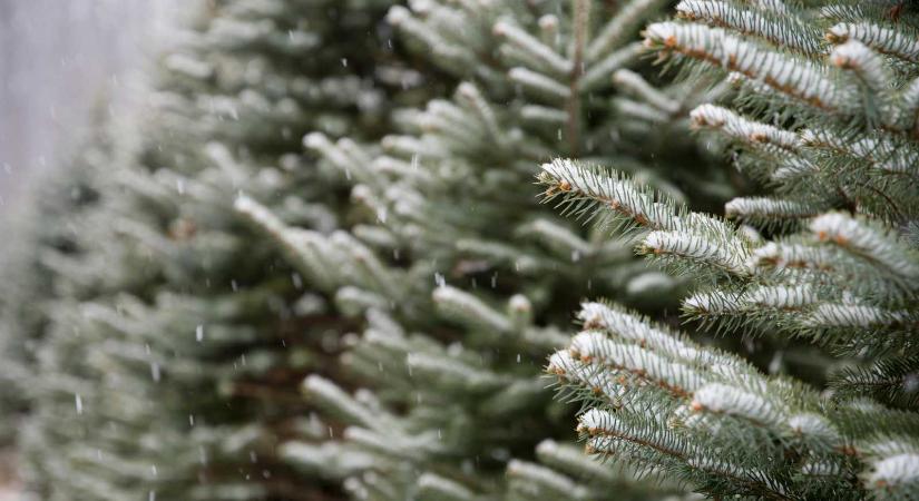 Kiadták a decemberi előrejelzést: ilyen időre számíthatunk karácsonykor