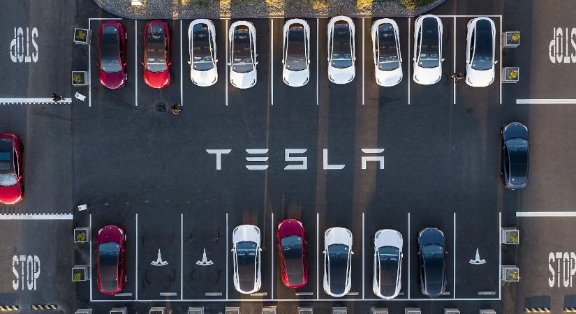 Tesla van a családban? Akkor erről mindenképpen tudnia kell, akár az élete múlhat rajta