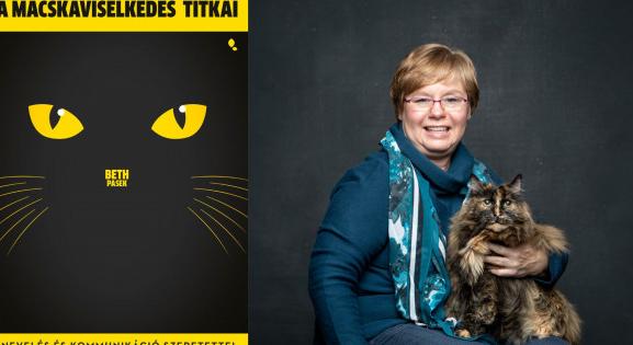 Mi jár a macskád fejében? – Olvass bele egy hivatásos cicaszitter könyvébe!