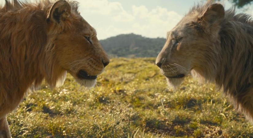 A Mufasa film rendezője megerősítette, hogy az új oroszlánkirály nem élőszereplős