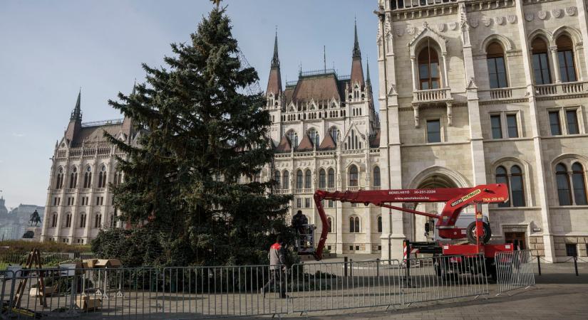 Vasárnap „meggyújtják a gyertyákat” az ország karácsonyfáján