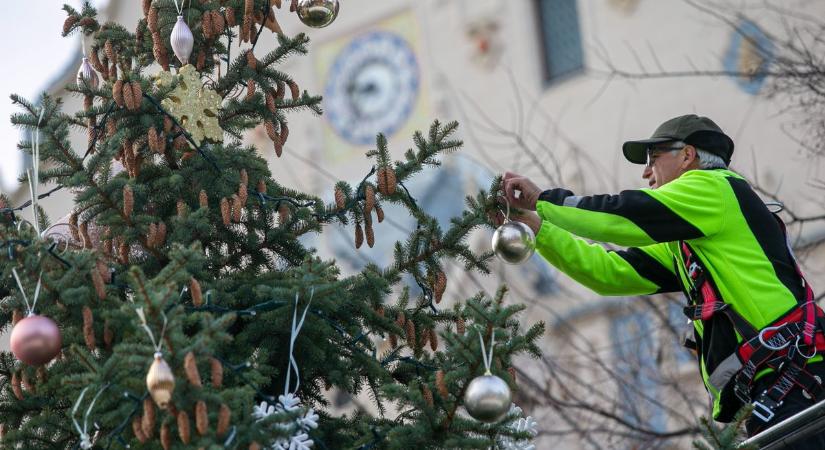 Szorgos kezek díszítettek, karácsonyi hangulatot varázsoltak Kecskemét főterére