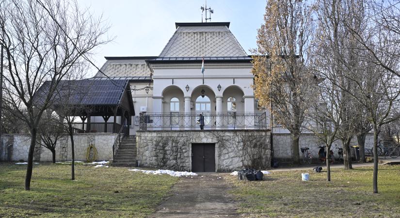 Helyben nevelkedett fenyőt öltöztetnek Bocskaikertben