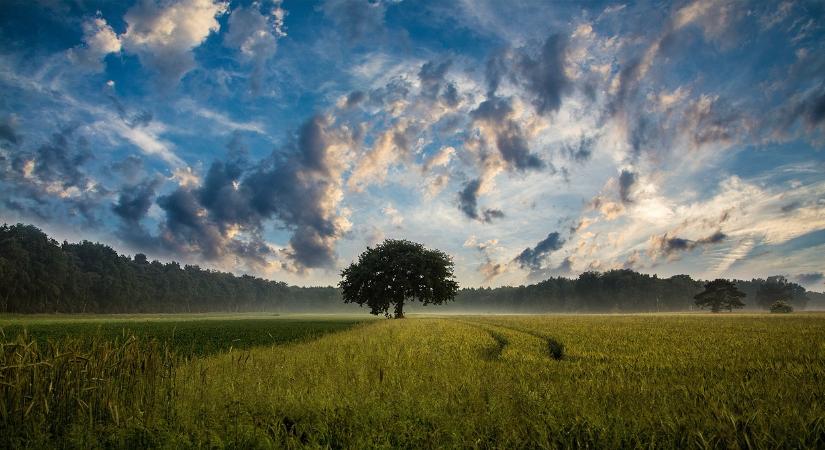 A FAO és az agrártárca ösztöndíjprogramja különleges lehetőséget kínál a fejlődő országok számára