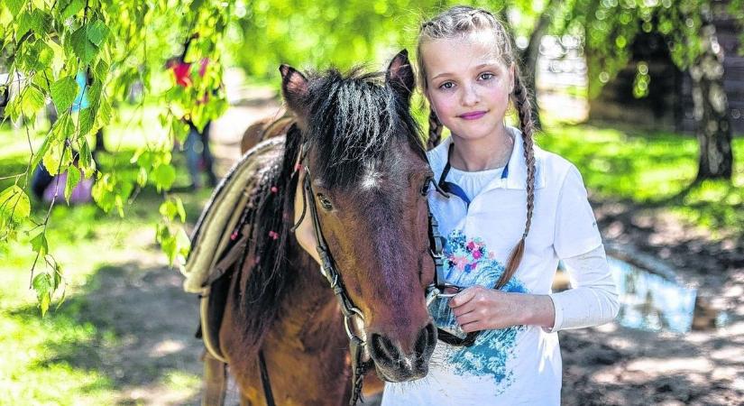 Jóakarat hídja – A lovak jelentik a megnyugvást Jázmin számára