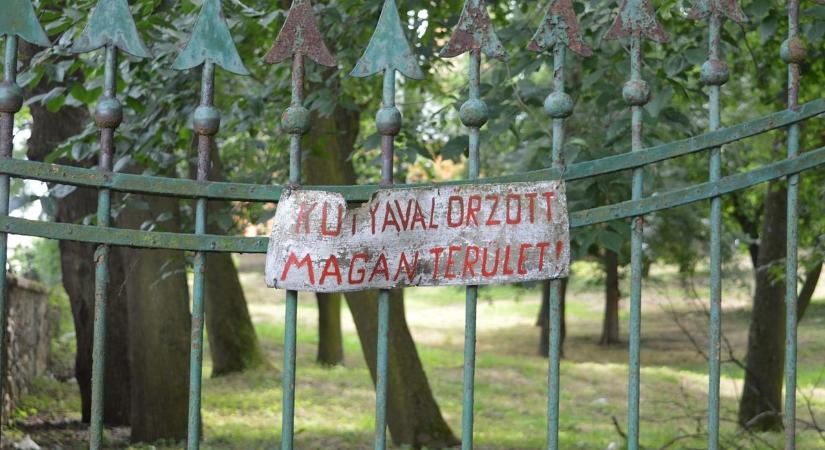 Hátborzongató felvételek a borsodi szellemkastélyról - képek, videó