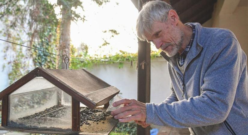 Madarak etetése télen – Sok mindenre kell figyelni, hogy ne ártsunk