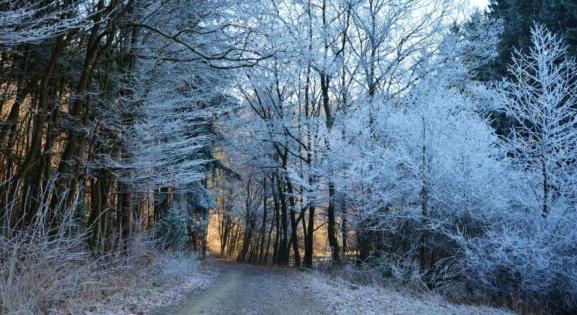 Egyre téliesebb arcát mutatja a december