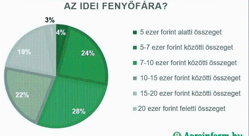 5-10 százalékos áremelkedéssel startol az idei karácsonyfaszezon